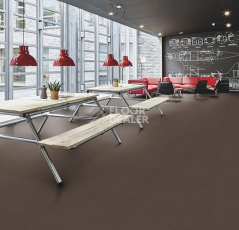 Forbo Marmoleum Decibel on Order 363235 sealion фото 2 | FLOORDEALER